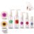 GritSpark Travel Bottles Floral