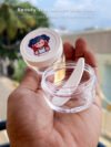 25g Cosmetic jar containers GritSpark